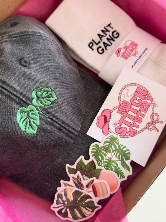 ✨ Mystery Box ✨
